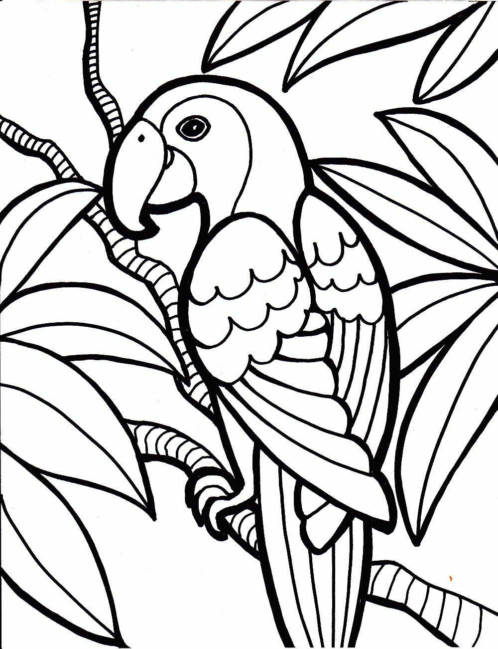 Elegant Bird Coloring Pages Printable 1