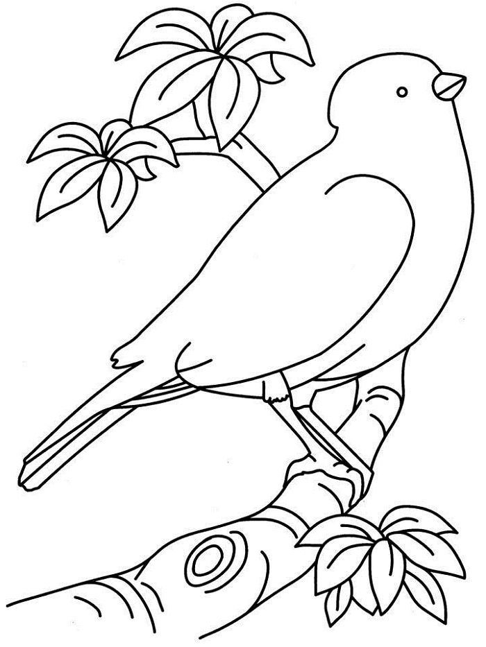 Elegant Bird Coloring Pages Printable 13