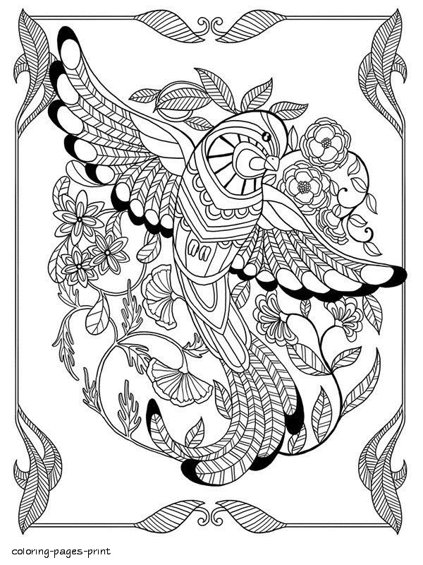 Elegant Bird Coloring Pages Printable 14