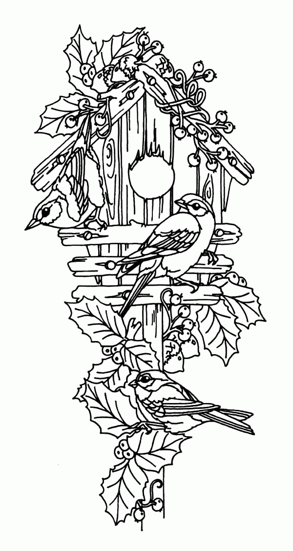 Elegant Bird Coloring Pages Printable 15