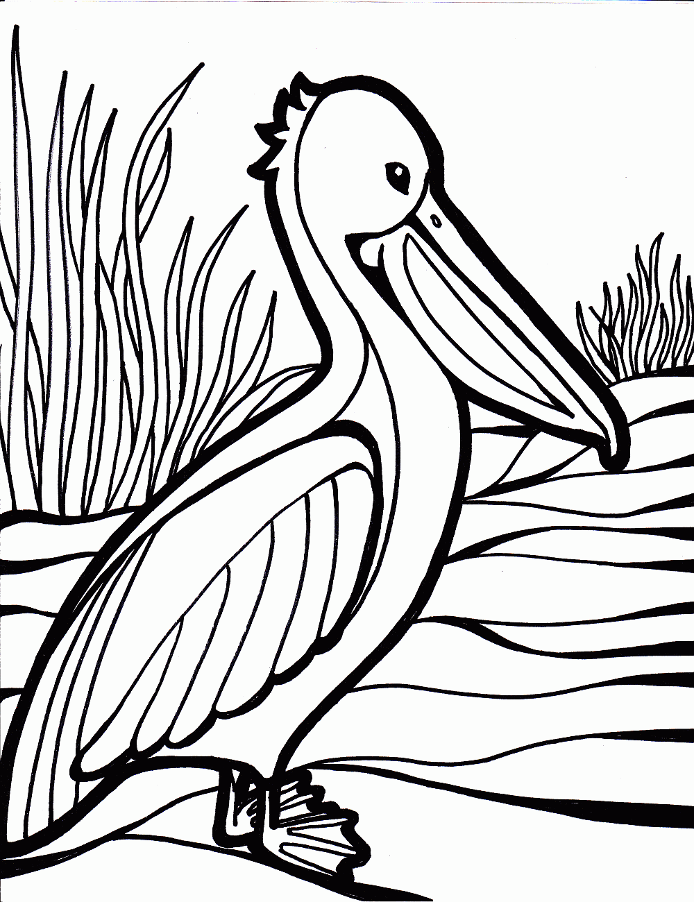 Elegant Bird Coloring Pages Printable 17