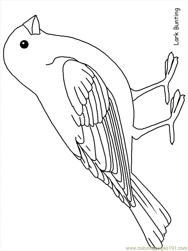 Elegant Bird Coloring Pages Printable 19