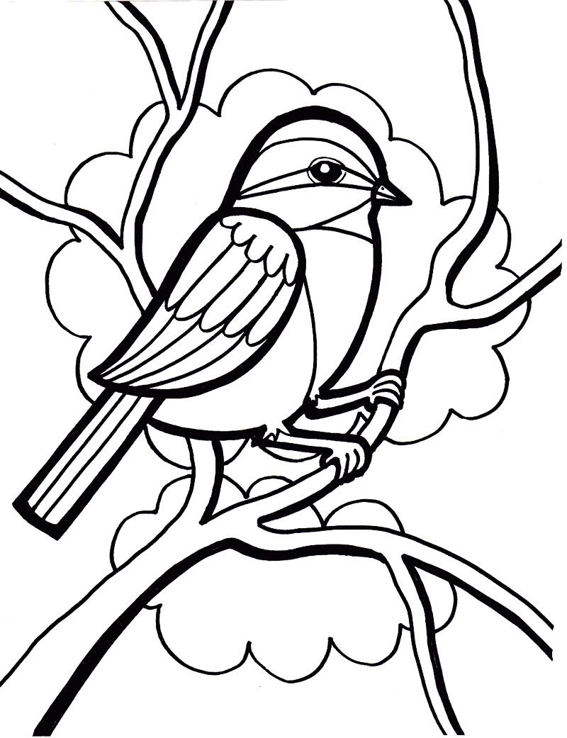 Elegant Bird Coloring Pages Printable 22