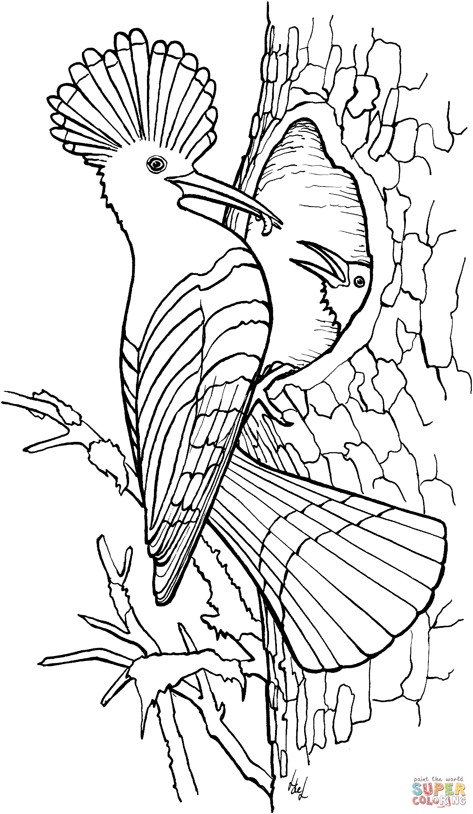 Elegant Bird Coloring Pages Printable 23