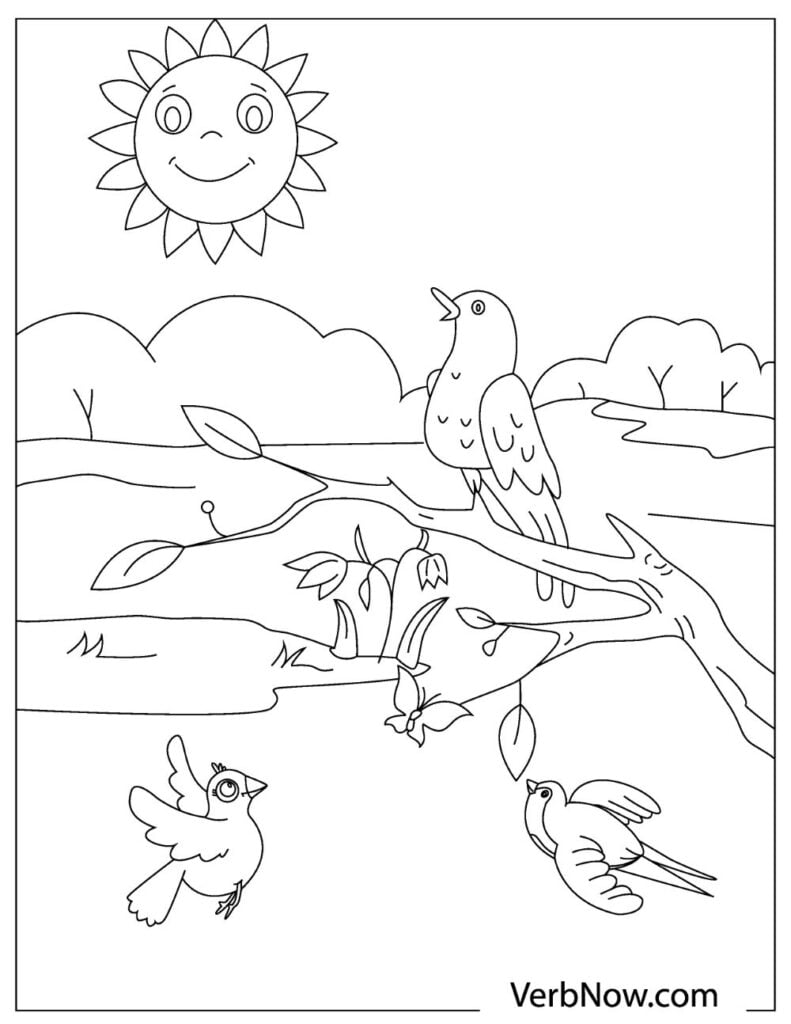 Elegant Bird Coloring Pages Printable 25