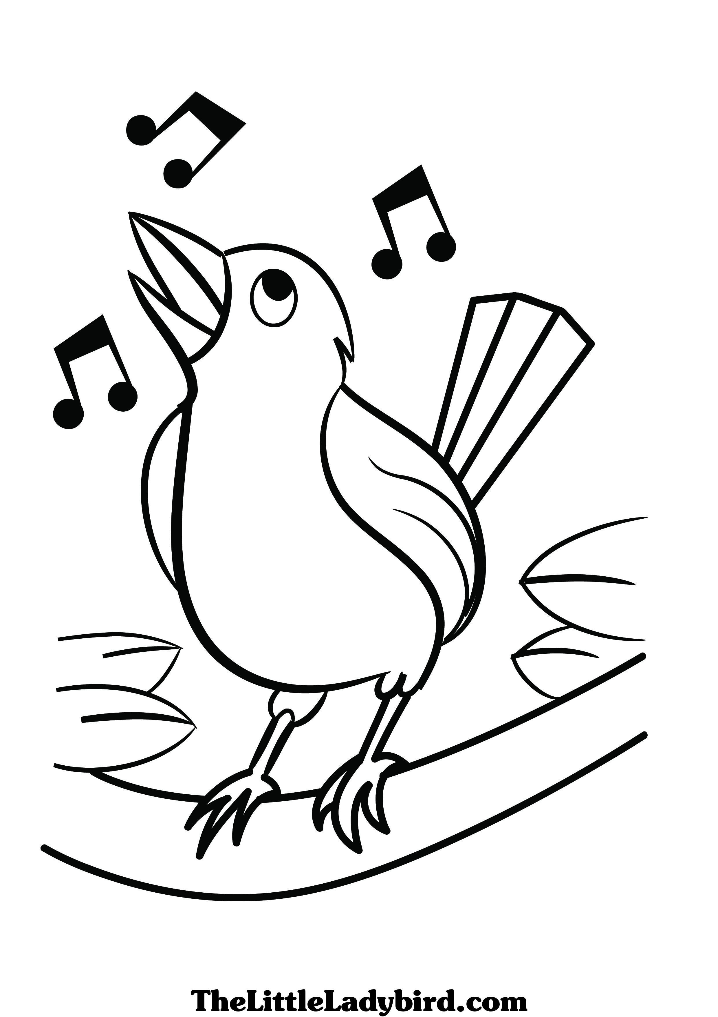 Elegant Bird Coloring Pages Printable 29