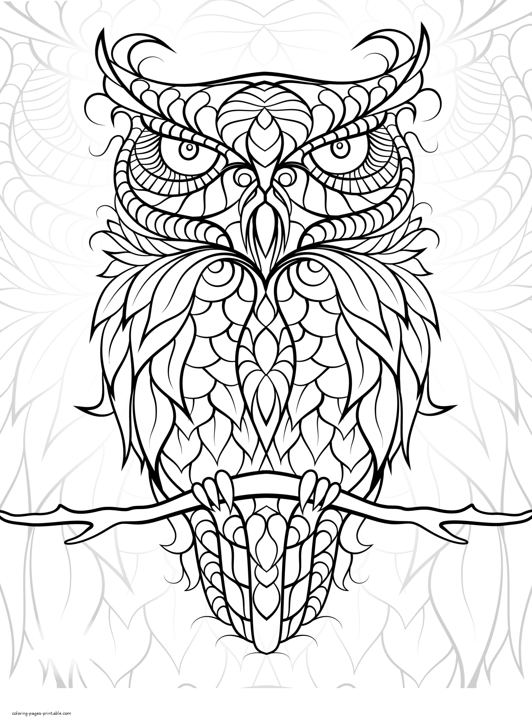 Elegant Bird Coloring Pages Printable 30