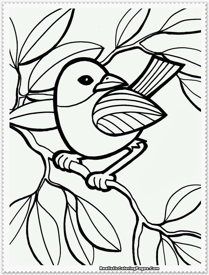 Elegant Bird Coloring Pages Printable 31