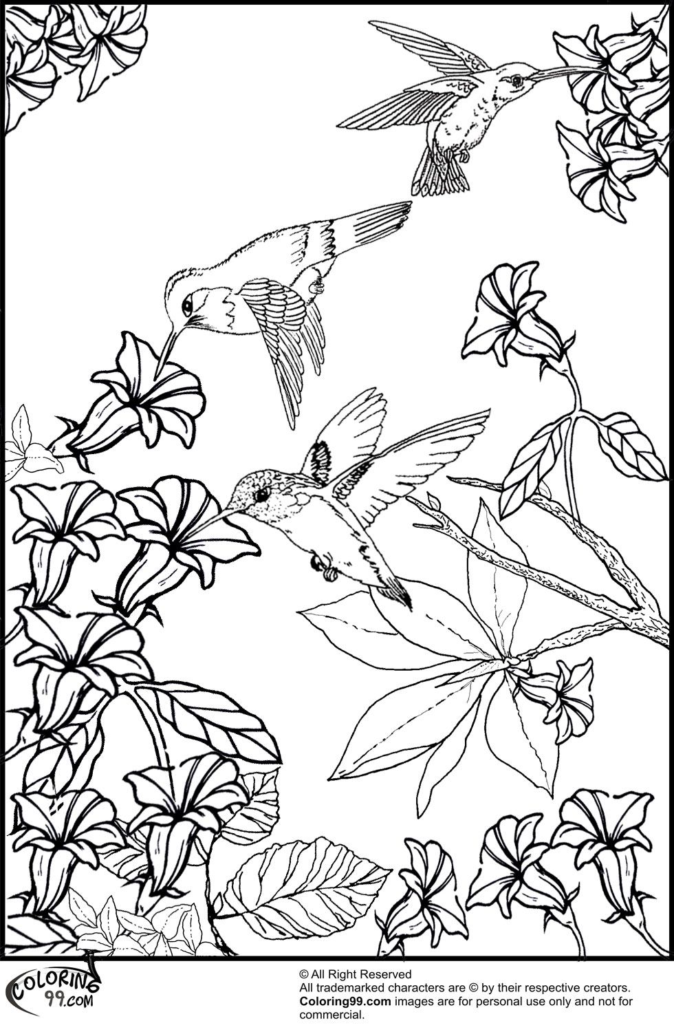 Elegant Bird Coloring Pages Printable 32