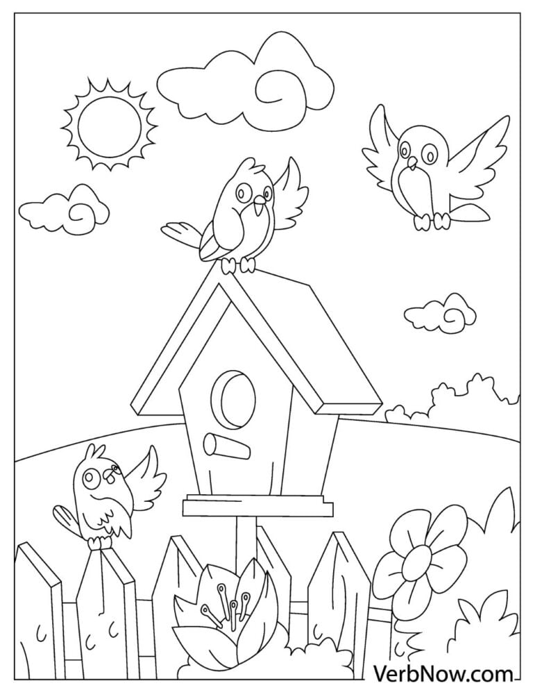 Elegant Bird Coloring Pages Printable 33