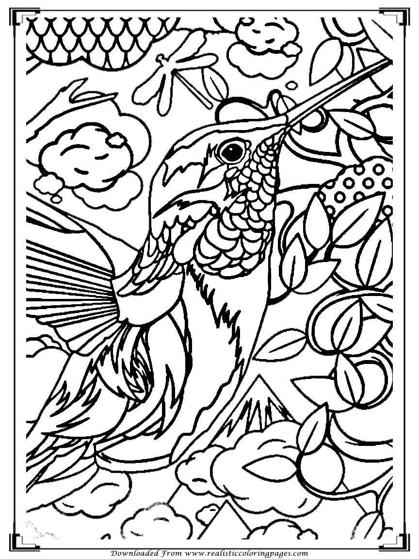 Elegant Bird Coloring Pages Printable 35