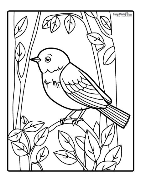 Elegant Bird Coloring Pages Printable 7