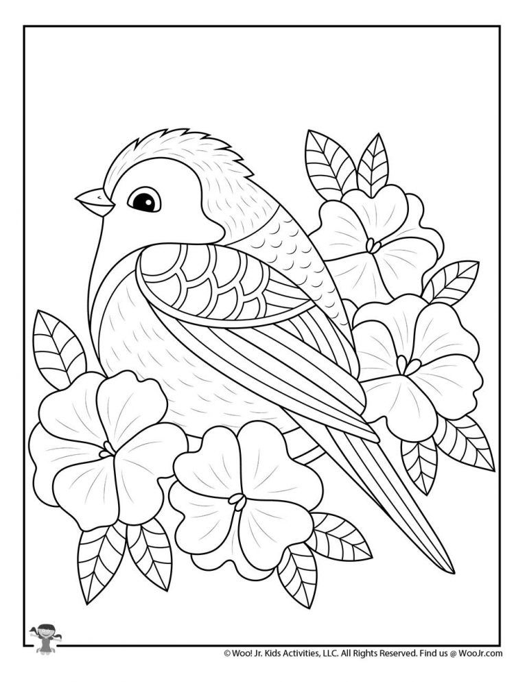 Elegant Bird Coloring Pages Printable 9