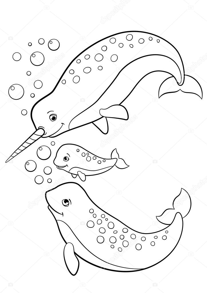 Fantastic Narwhal Coloring Pages Printable 13