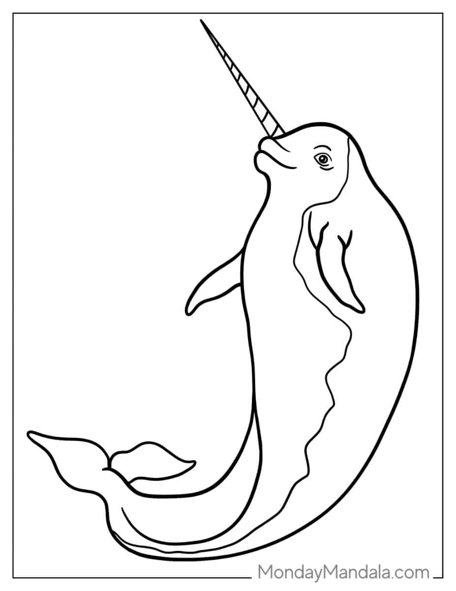 Fantastic Narwhal Coloring Pages Printable 26