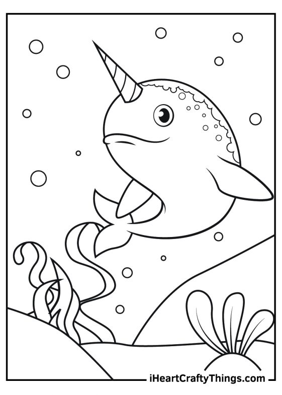 Fantastic Narwhal Coloring Pages Printable 6