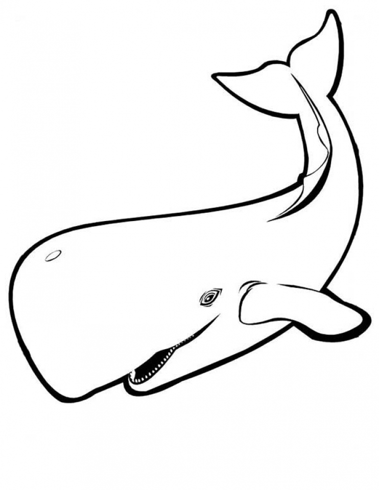 Majestic Killer Whale Coloring Pages Printable 14