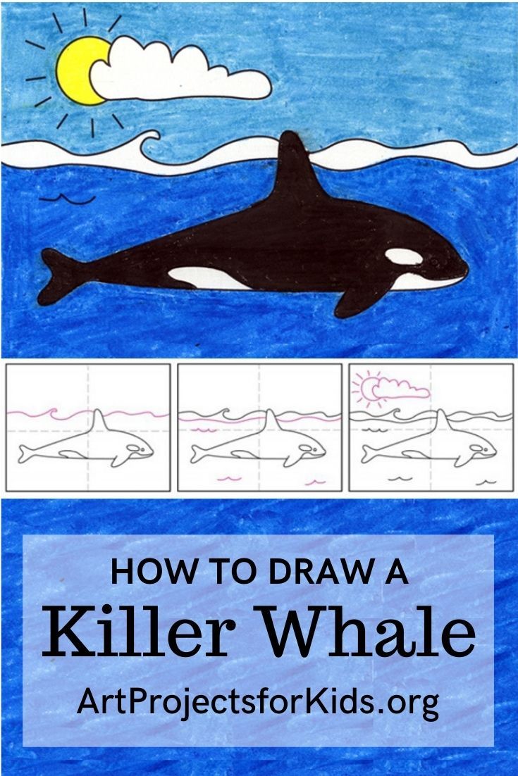 Majestic Killer Whale Coloring Pages Printable 17