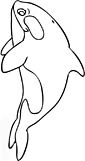 Majestic Killer Whale Coloring Pages Printable 18