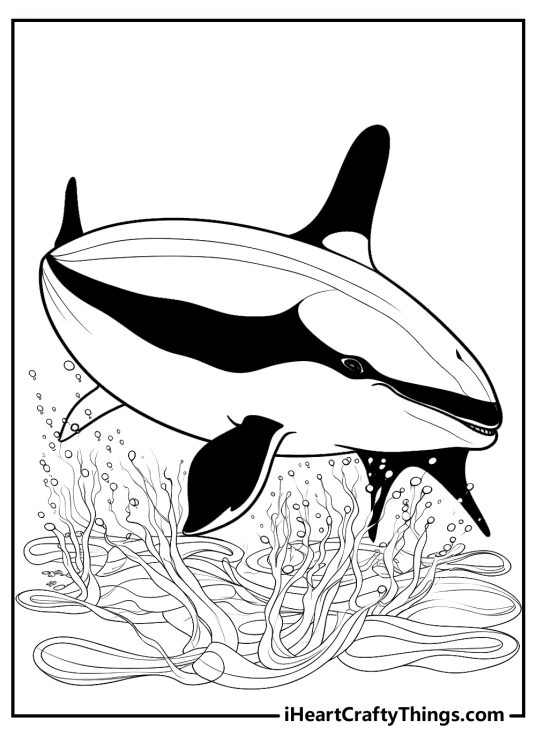 Majestic Killer Whale Coloring Pages Printable 27