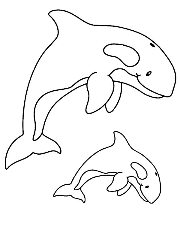 Majestic Killer Whale Coloring Pages Printable 29