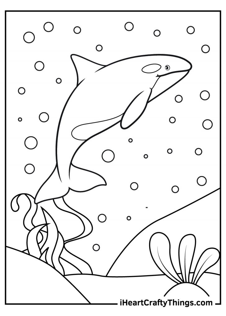 Majestic Killer Whale Coloring Pages Printable 31