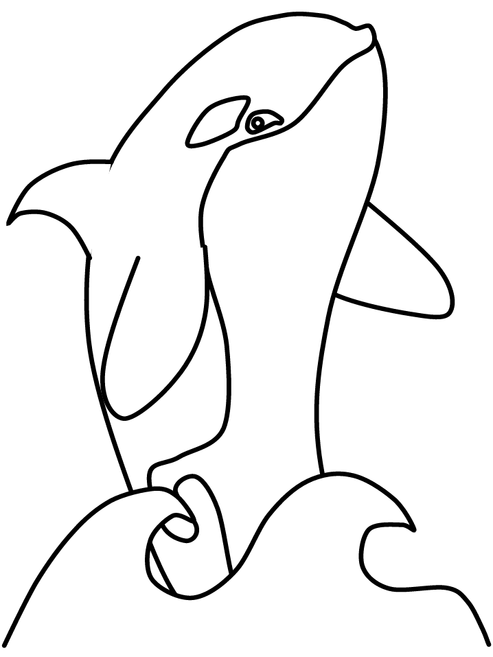 Majestic Killer Whale Coloring Pages Printable 6