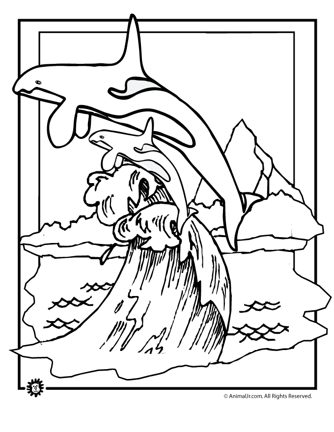 Majestic Killer Whale Coloring Pages Printable 7