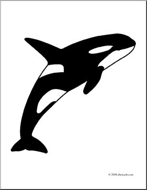 Majestic Killer Whale Coloring Pages Printable 8