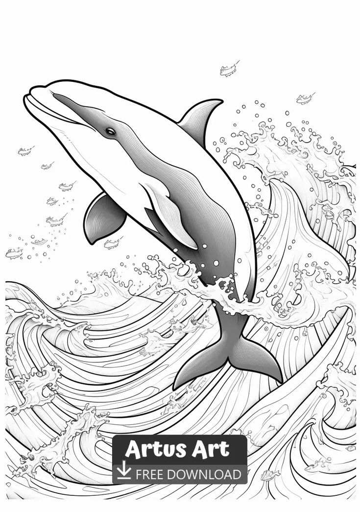 Majestic Killer Whale Coloring Pages Printable 9