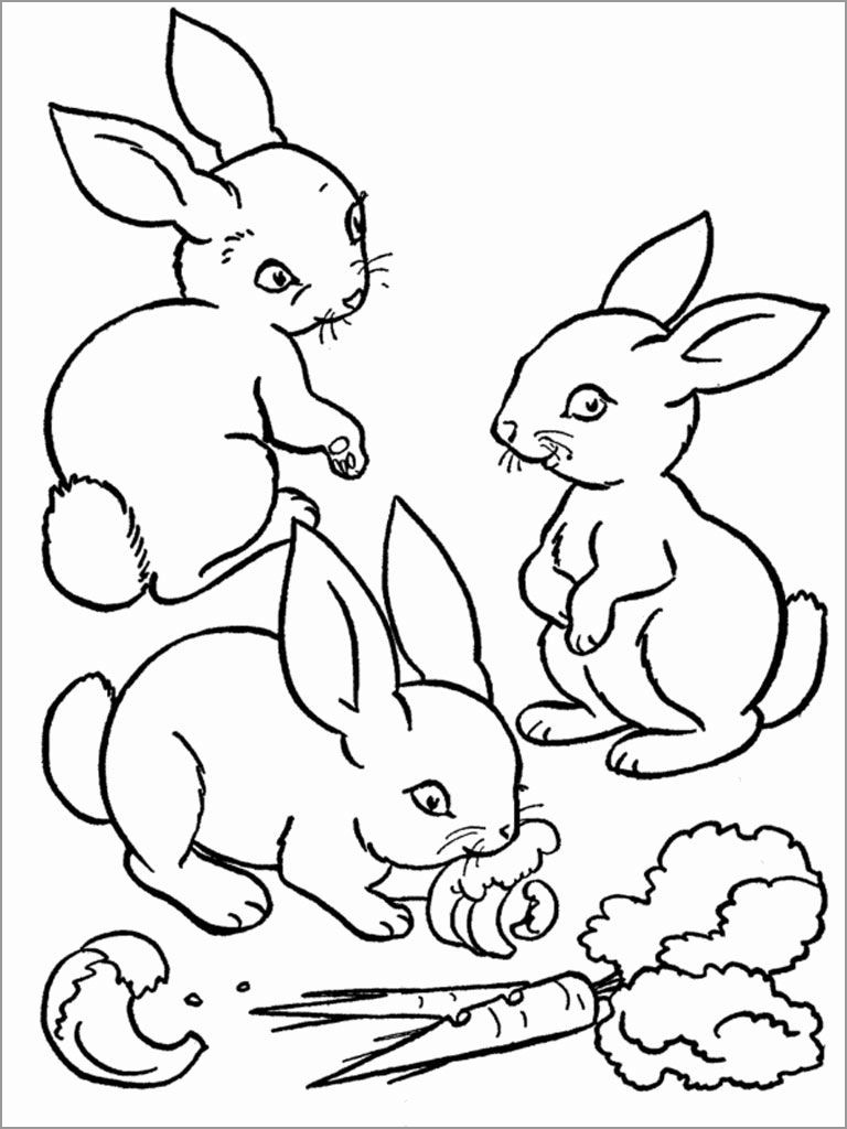 Playful Rabbit Coloring Pages Printable 10