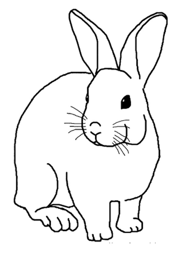 Playful Rabbit Coloring Pages Printable 11