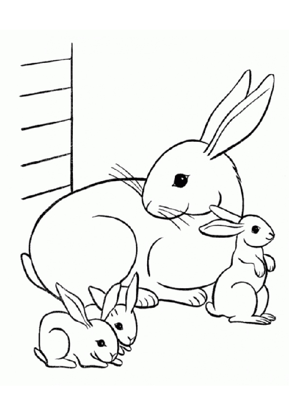 Playful Rabbit Coloring Pages Printable 12