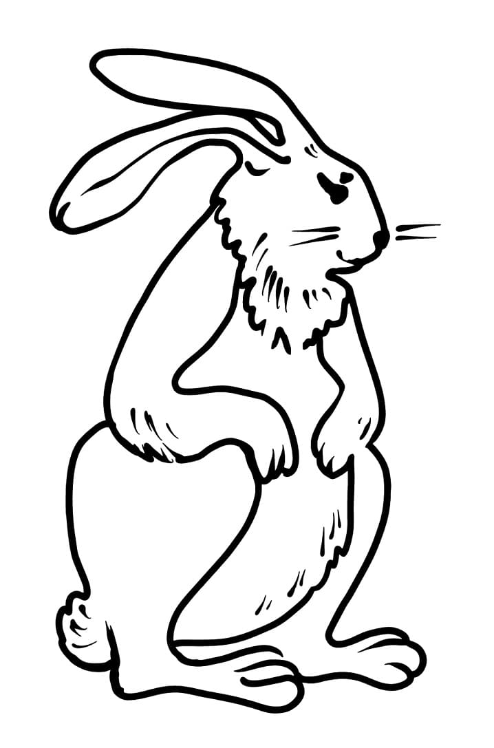 Playful Rabbit Coloring Pages Printable 25