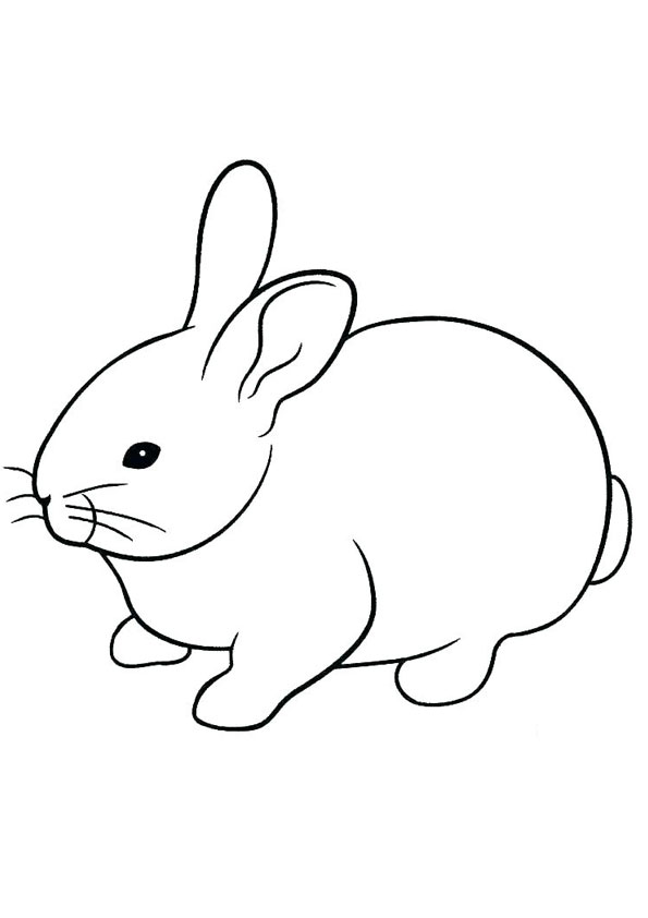 Playful Rabbit Coloring Pages Printable 31