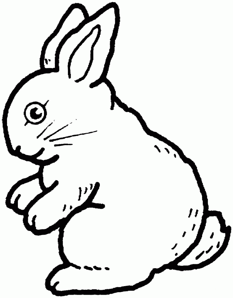 Playful Rabbit Coloring Pages Printable 33