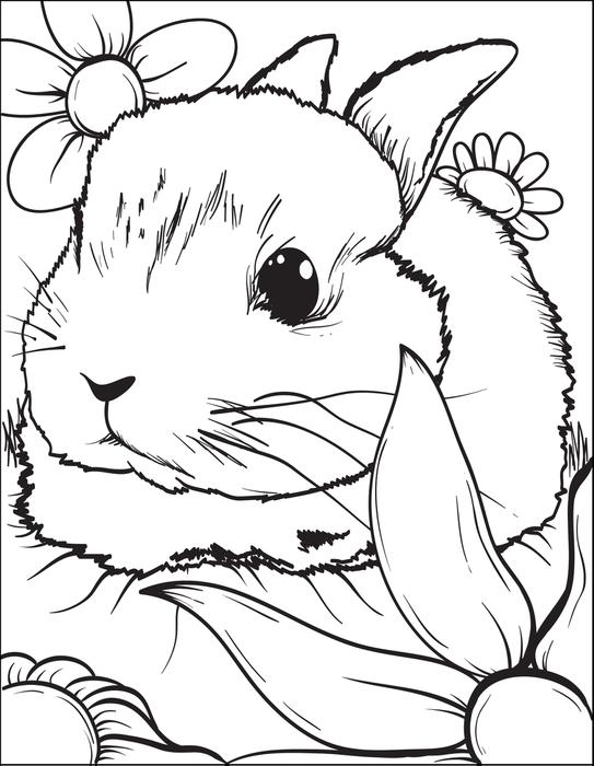 Playful Rabbit Coloring Pages Printable 5