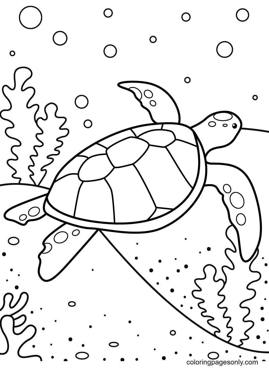 31 Cool Turtle Coloring Pages Printable 11