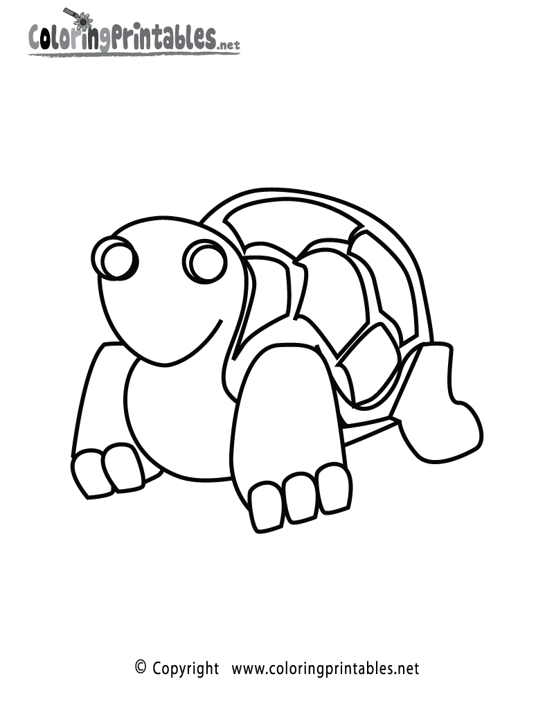 31 Cool Turtle Coloring Pages Printable 18