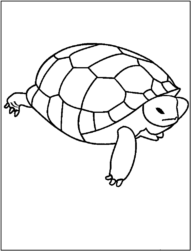 31 Cool Turtle Coloring Pages Printable 20