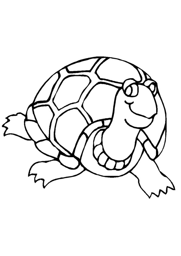 31 Cool Turtle Coloring Pages Printable 29