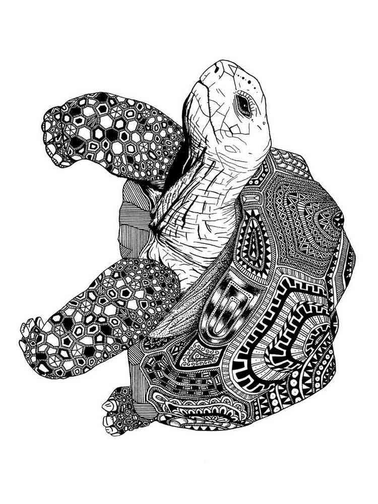 31 Cool Turtle Coloring Pages Printable 31