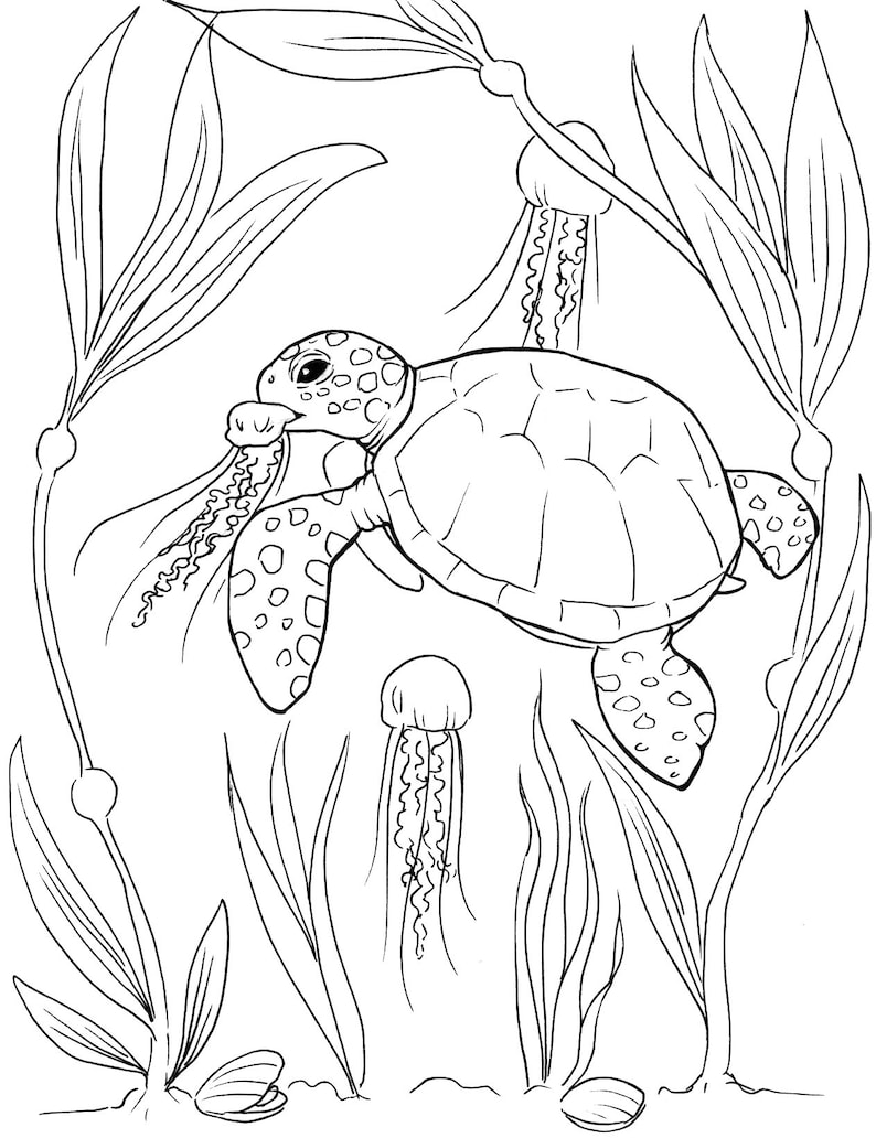 31 Cool Turtle Coloring Pages Printable 32