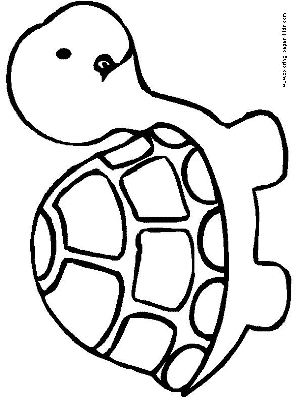 31 Cool Turtle Coloring Pages Printable 33