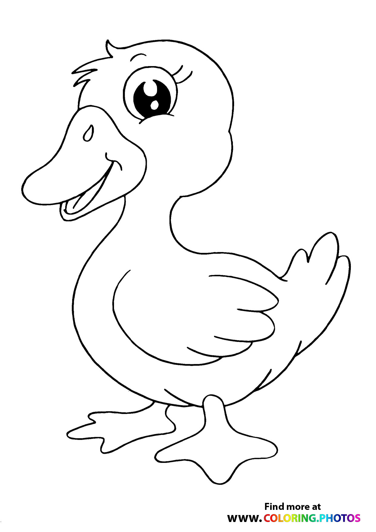 31 Cute Duck Coloring Pages Printable 2