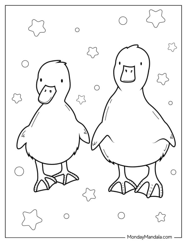 31 Cute Duck Coloring Pages Printable 27