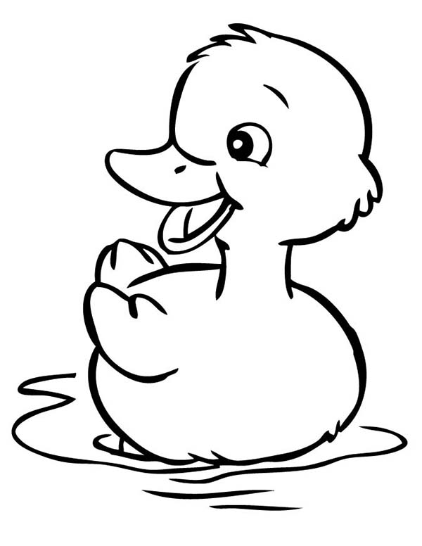 31 Cute Duck Coloring Pages Printable 28