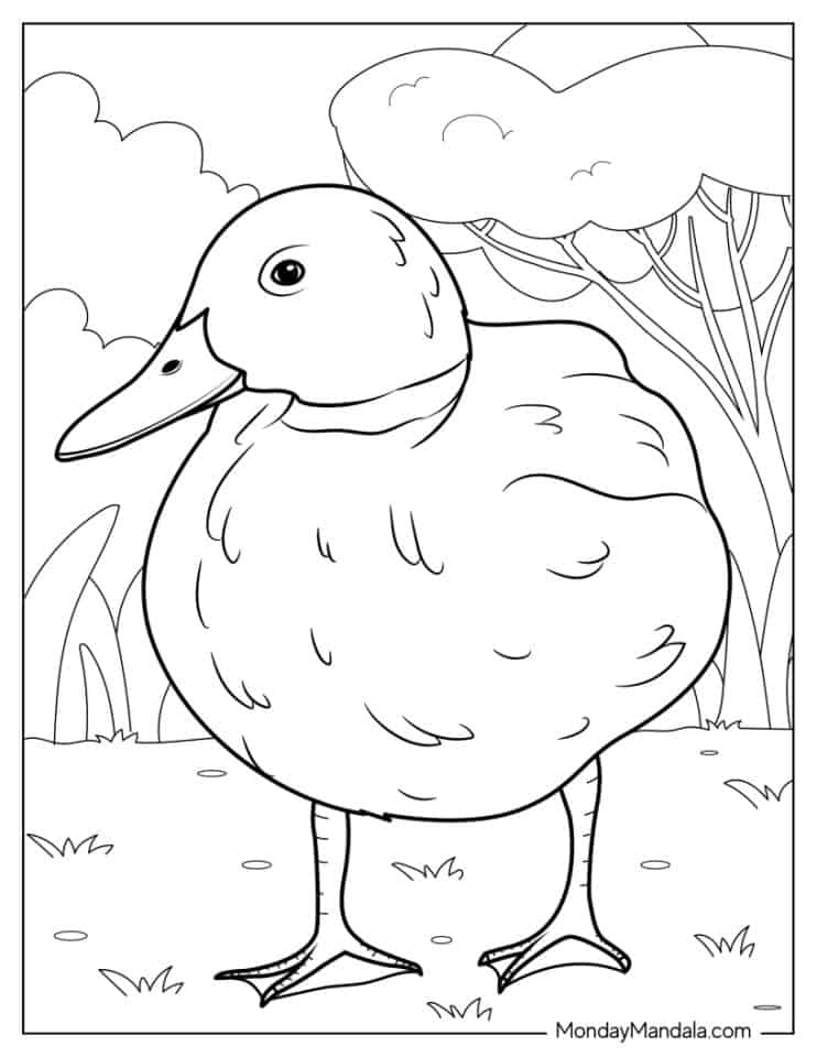 31 Cute Duck Coloring Pages Printable 3