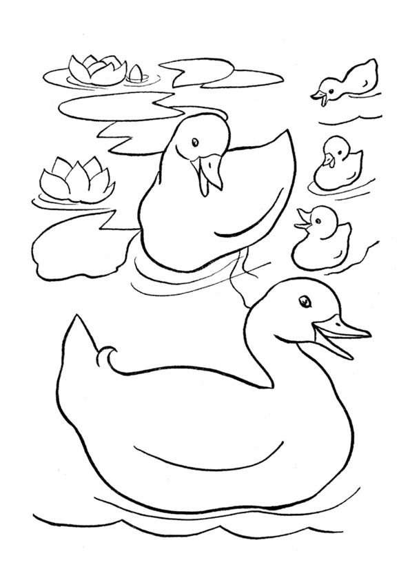 31 Cute Duck Coloring Pages Printable 31