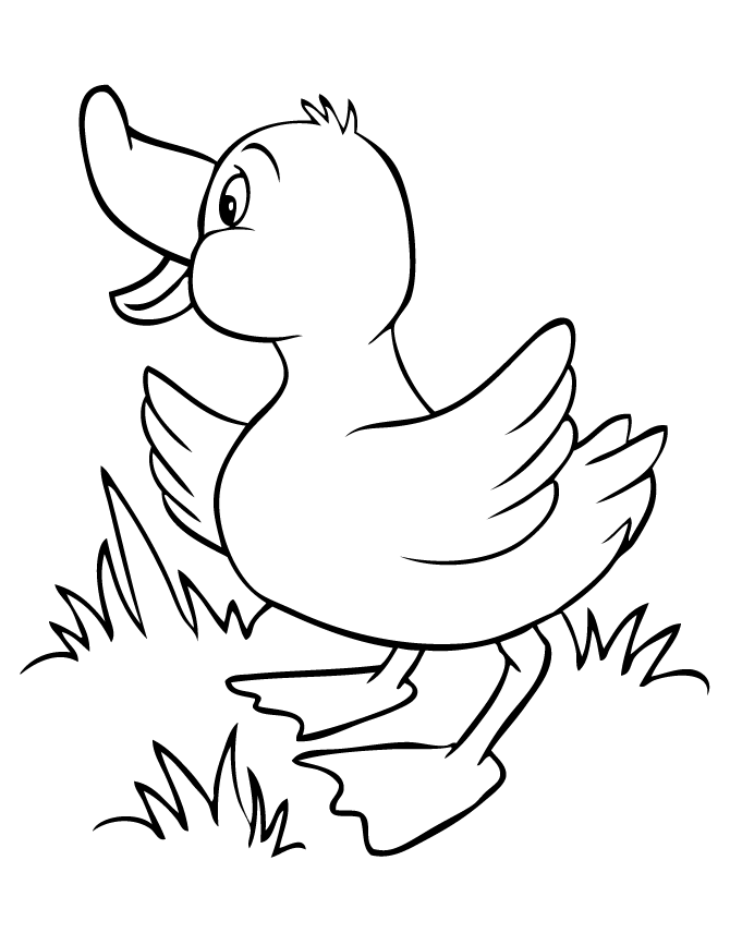 31 Cute Duck Coloring Pages Printable 32